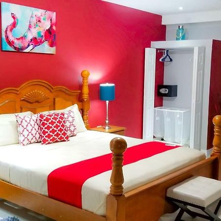 Casa Tamar Guest Apartment Kingston Bagian luar foto